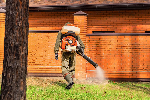 Top rated local Cockroach Control specialists in Funny River, AK